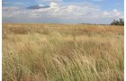 Property photo 3 - LAND AUCTION, 3255+/- Acres offered in 13 Tracts
